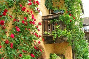 福建景區(qū)有哪些？