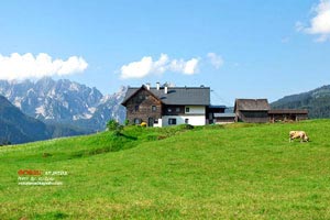 鹽津有什么旅游景點(鹽津有什么旅游景點好玩)